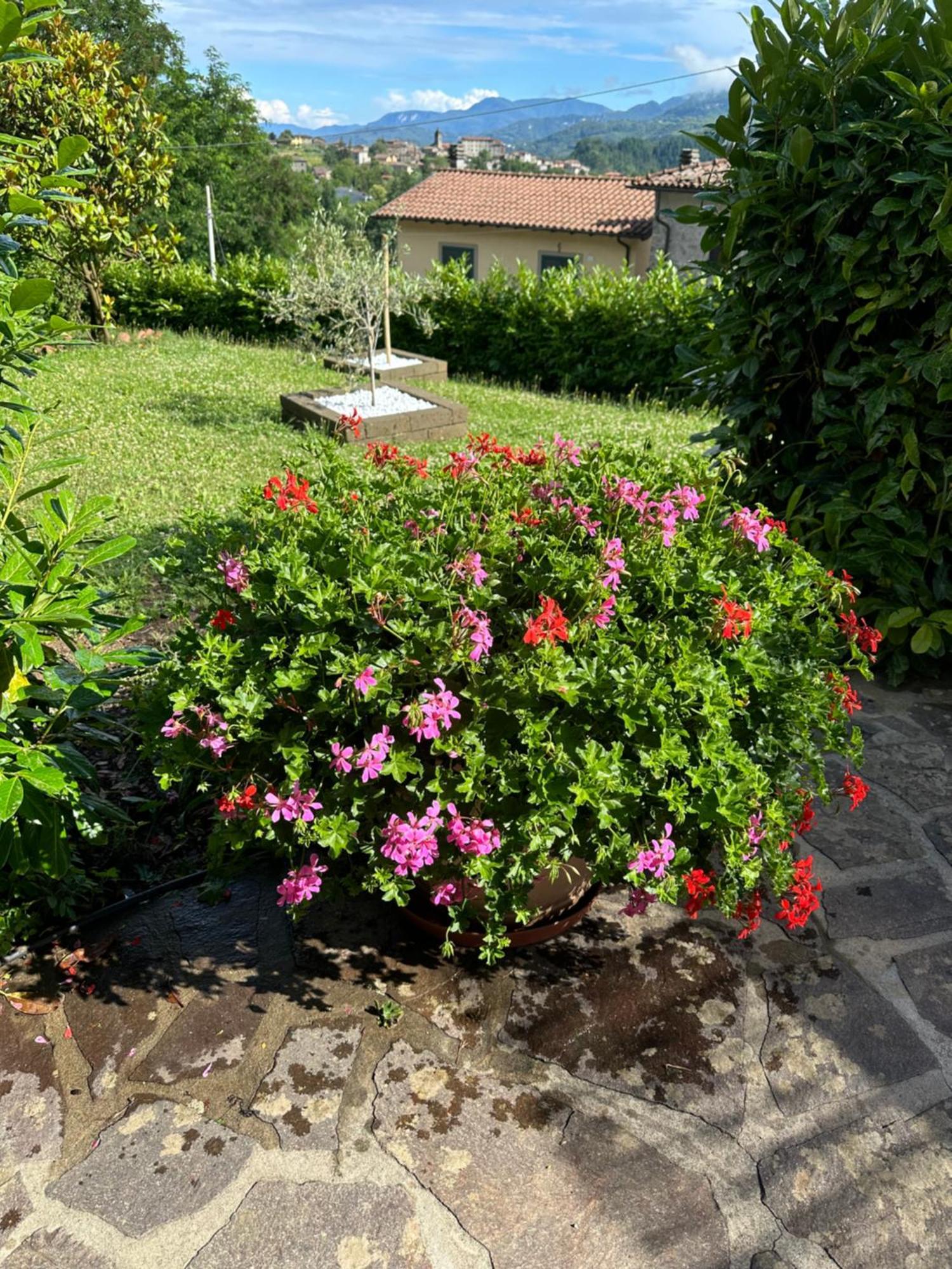 Casa Margherita Celide San Romano Екстериор снимка